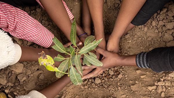 Zimbabwe. Young refugee climate and environment activists plant a tree in Tongogara refugee camp.